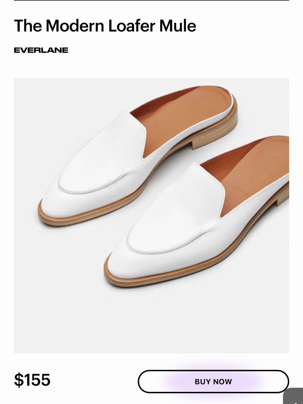 Everlane The Modern Loafer Mule - Picture 8 of 8